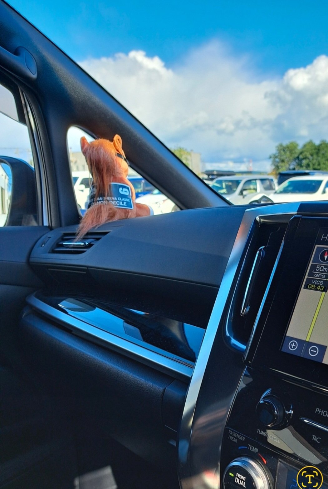 出勤♪🚘️